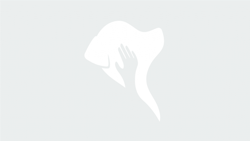 Patient at Missouri Baptist Medical Center