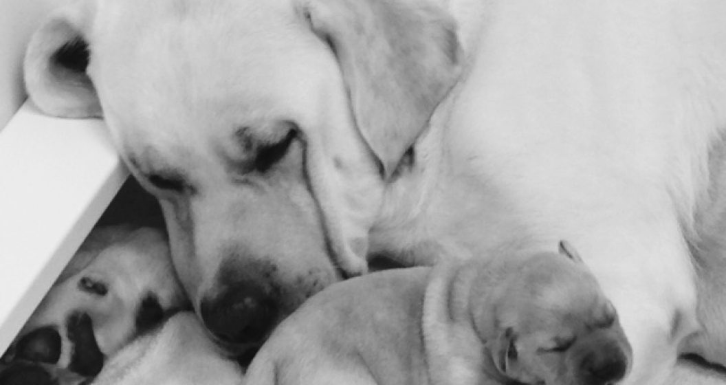 bonding-pic